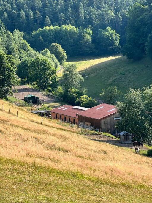 Ferienwohnung Beim Pferdehof Neuenstein  ภายนอก รูปภาพ