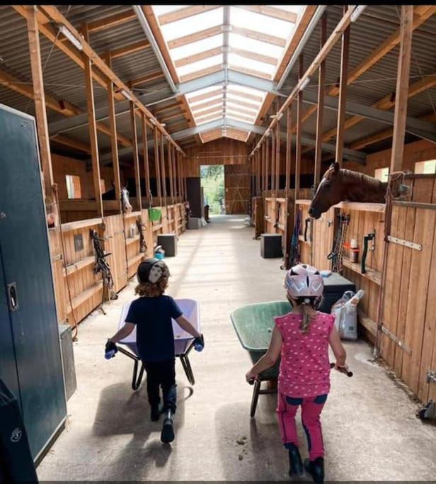 Ferienwohnung Beim Pferdehof Neuenstein  ภายนอก รูปภาพ